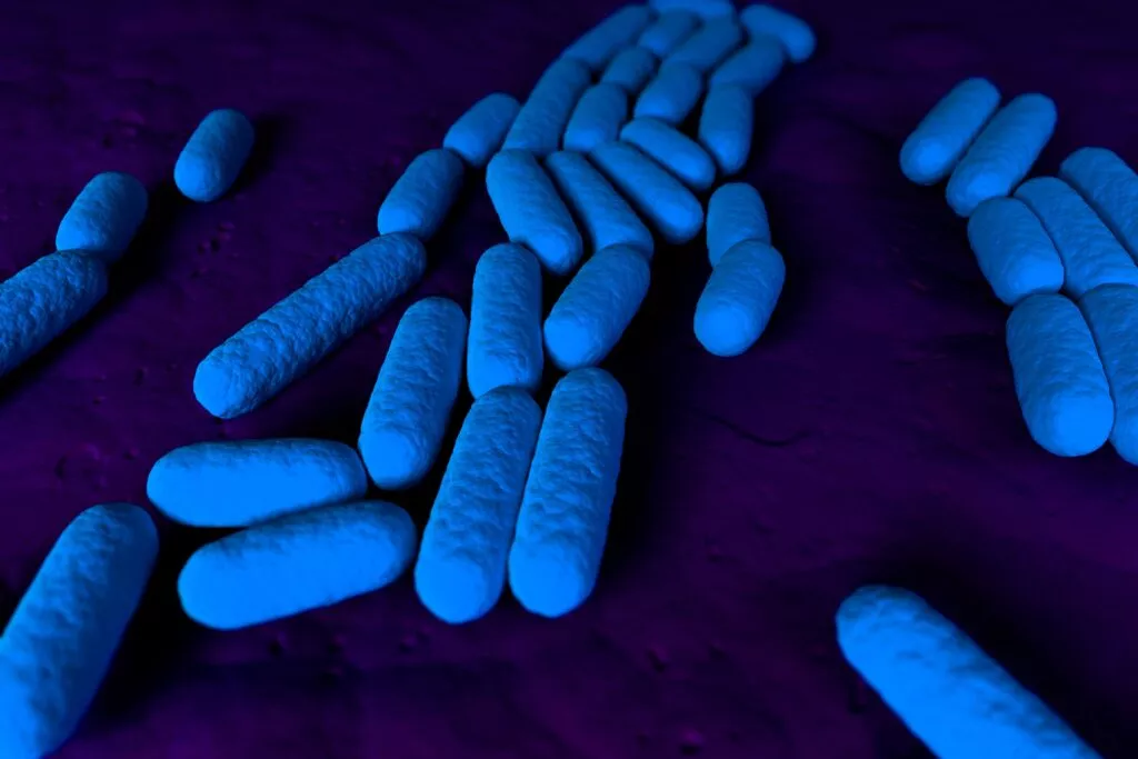 co dla psa na biegunkę