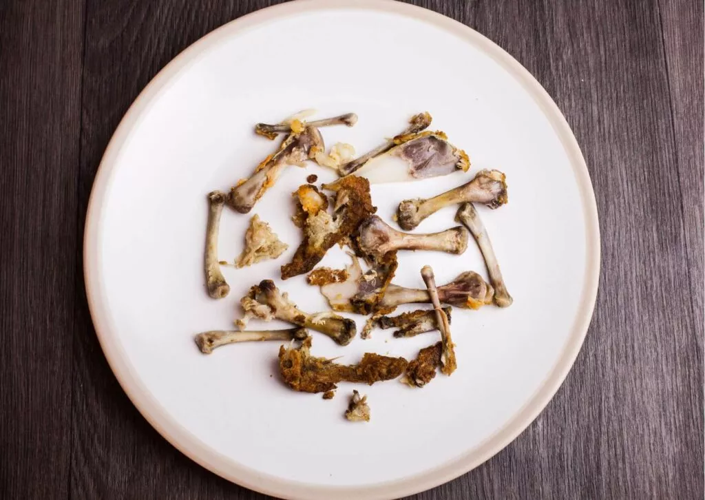 czy pies może jeść kości