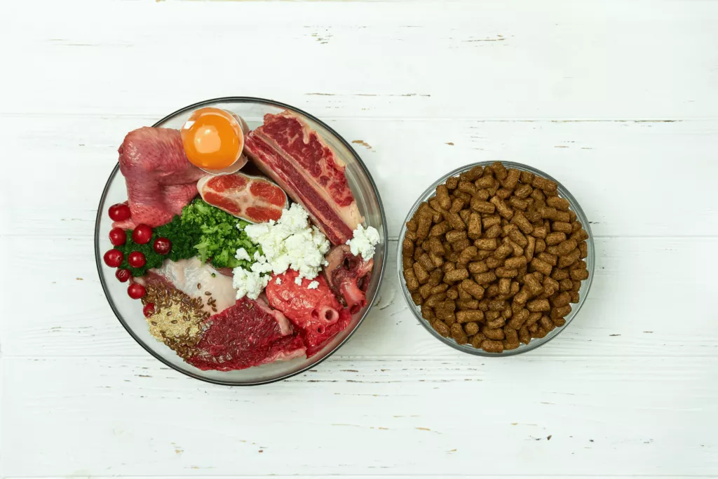 żywienie mieszane psa