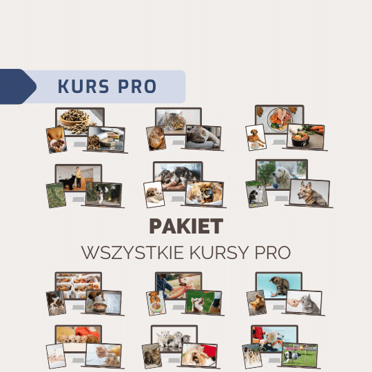 Pakiet wszystkich Kursów PRO