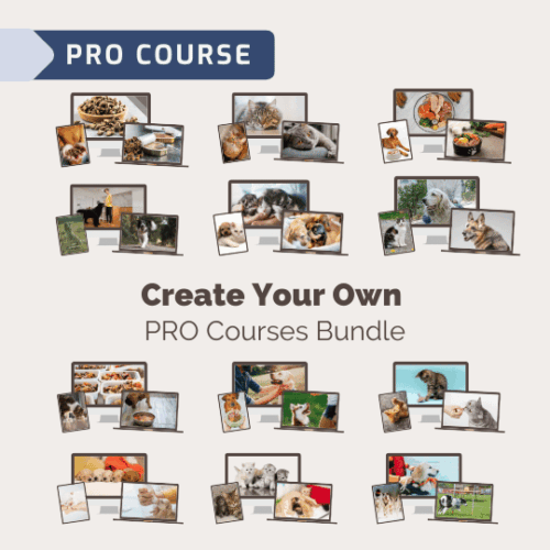 CREATE YOUR OWN PACKAGE