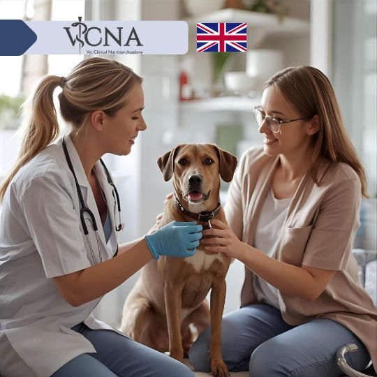 1. Wprowadzenie do żywienia klinicznego: ocena pacjenta i diety