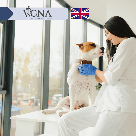 11. Zaburzenia wynikające z niewłaściwego bilansu diety