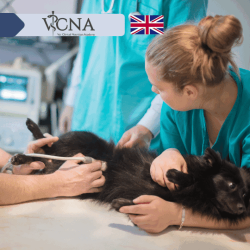 12. Choroby współistniejące