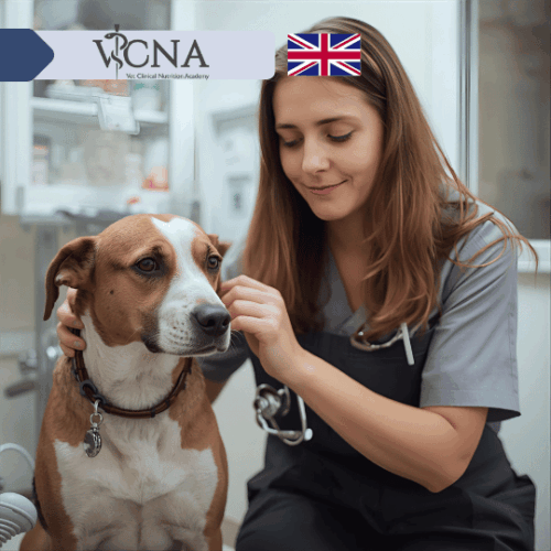 2. Diety alternatywne