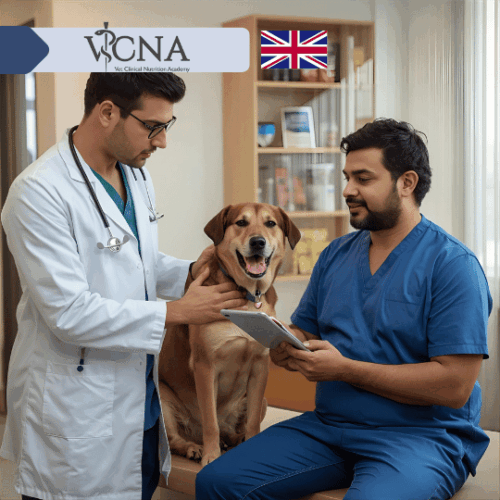 6. Choroby układu pokarmowego