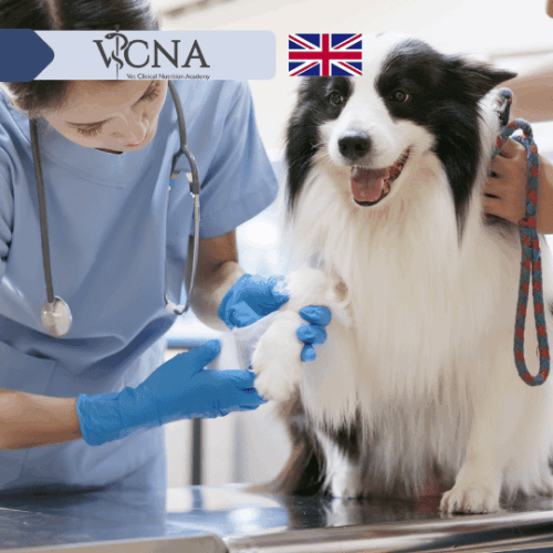 8. Intensywna terapia + nowotwory